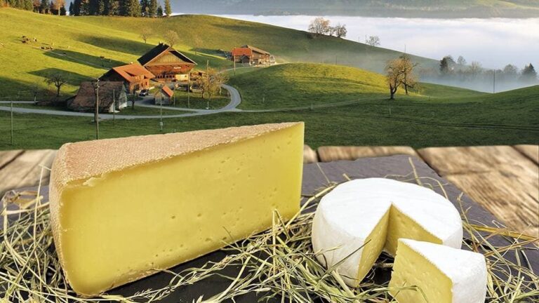 Eine Scheibe Kaese Auf Einer Platte Im Hintergrund Ist Die Landschaft