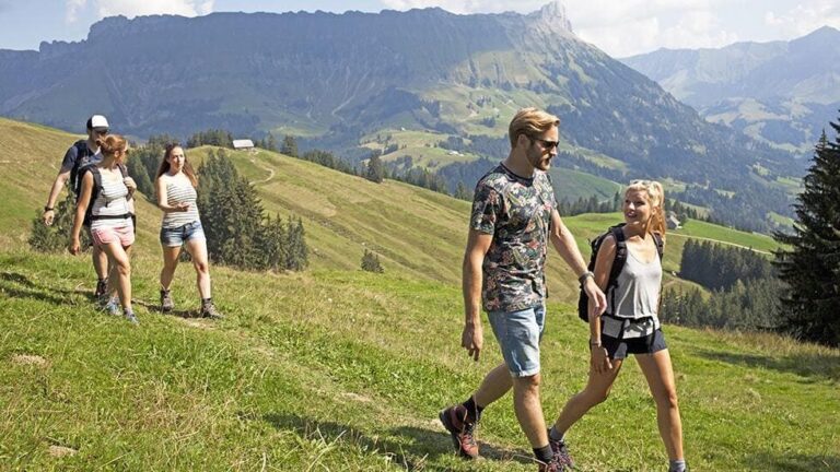 Fuenf Wanderer Auf Der Alp