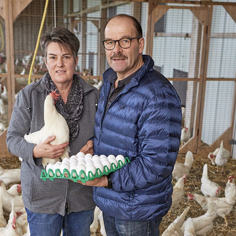 Eierproduzent Urs Und Regula Brun W