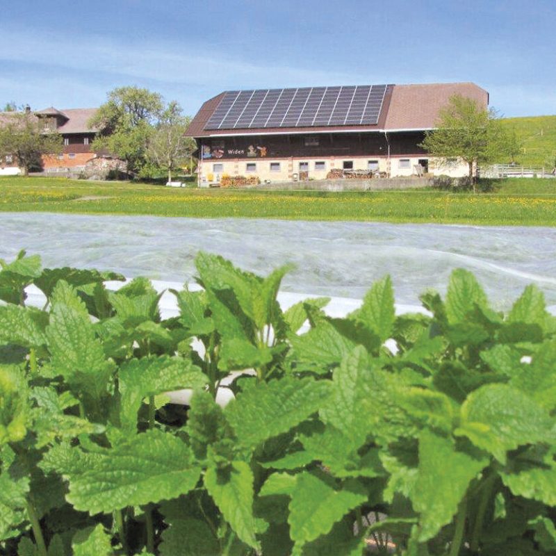 Entlebuch Kräuter Solarenergie W