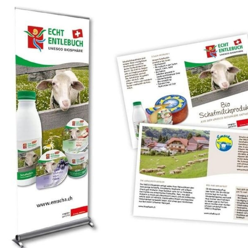 Imgi 13 Pollup Flyer Emscha 1